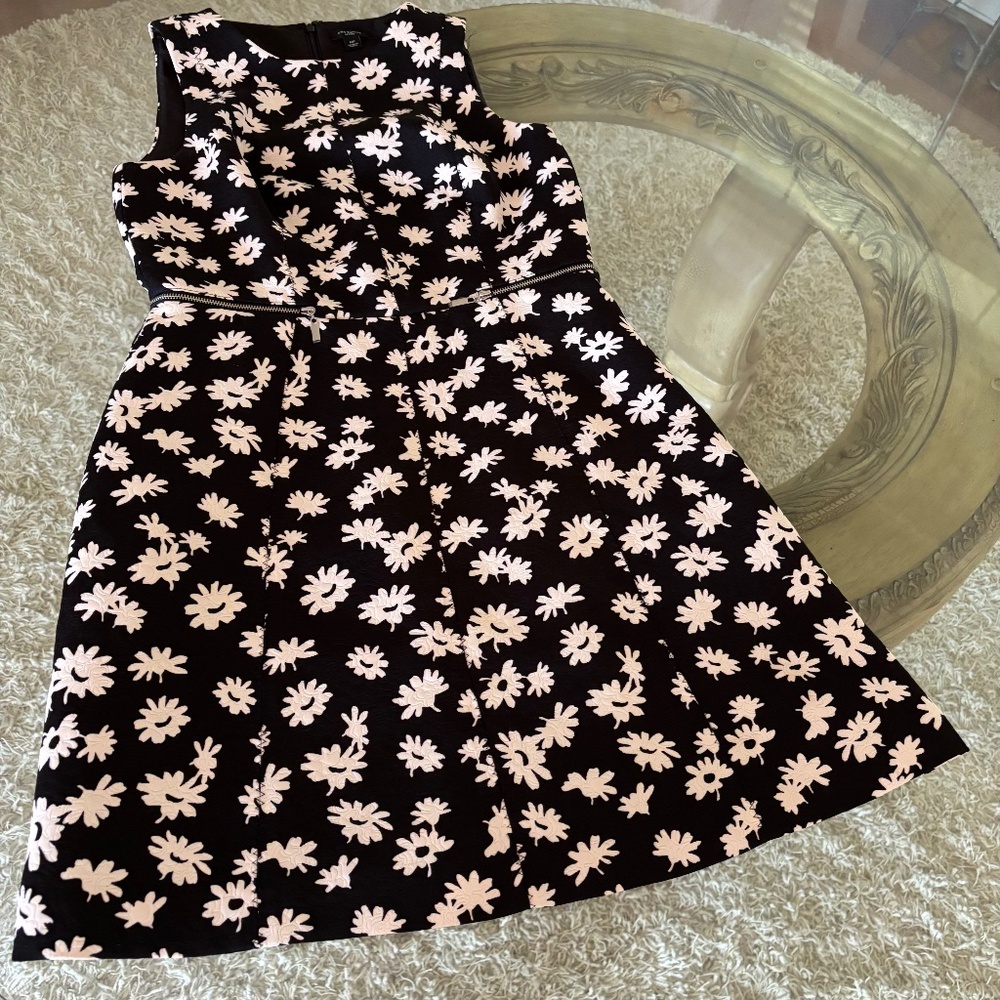 Ann Taylor Black and White Floral Zip Waist Dress Size 6P